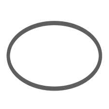 Circuit racing icon
