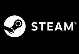 Steam